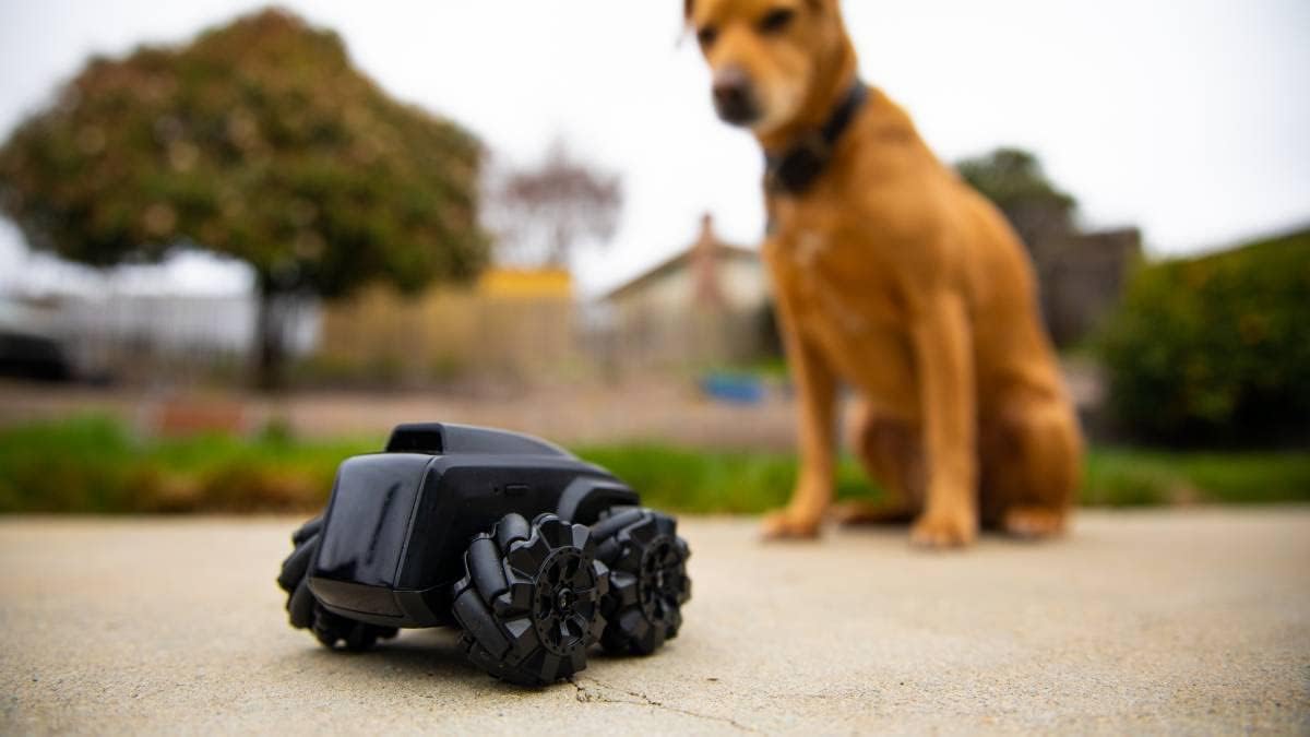 Moorebot Scout - Tiny Versatile Mobile Camera Robot for Home Monitoring and Fun, Indoor