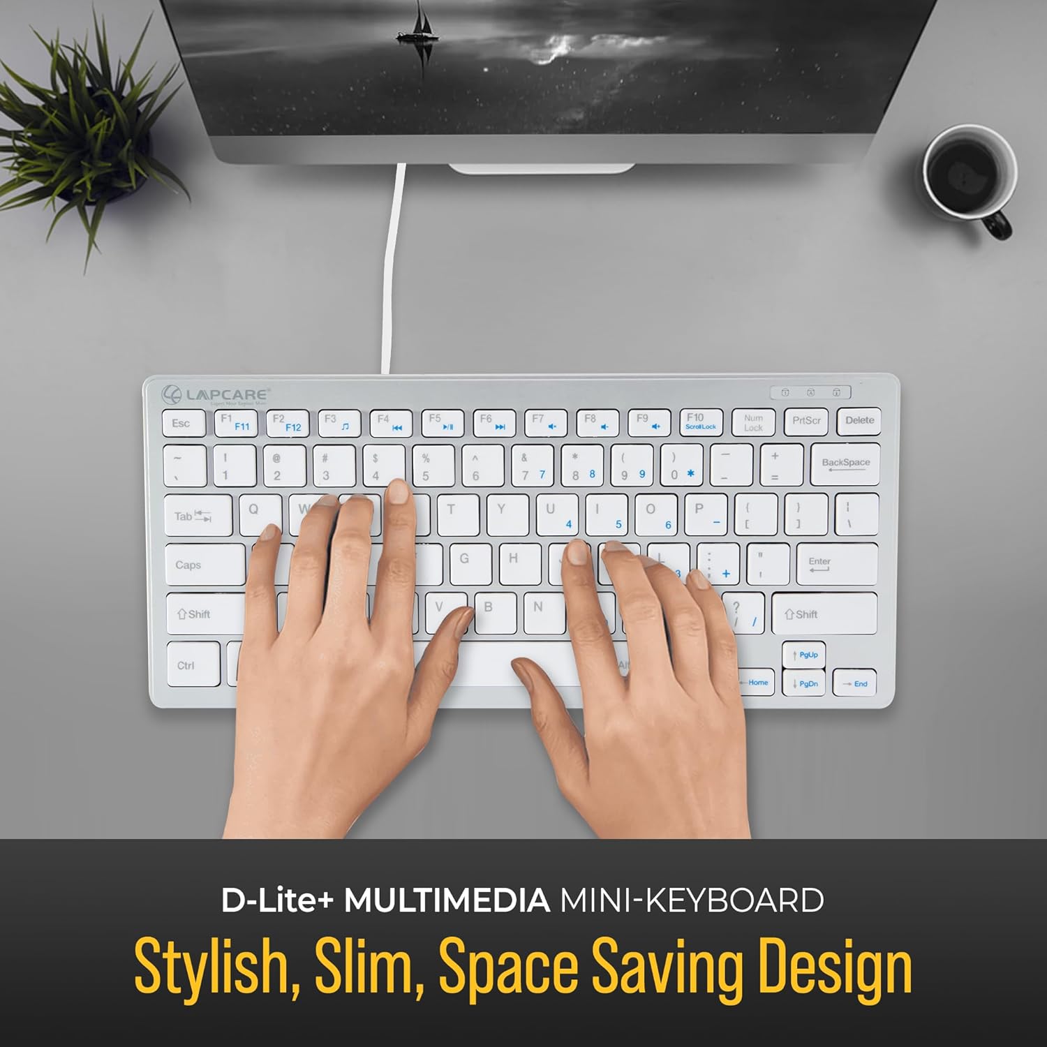 Lapcare D-Lite Silver Mini Wired Keyboard – 87 Key Compact USB Keyboard with Multimedia Fn Keys, Quiet Chocolate Keycaps, UV Coating, 8 Million Keystroke Life - Plug & Play for PC/Laptop (Silver)
