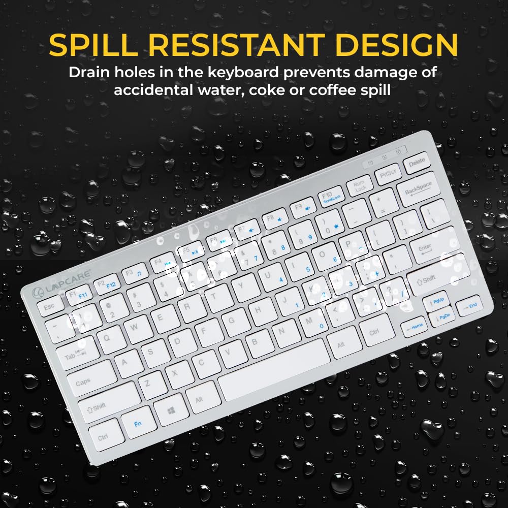 Lapcare D-Lite Silver Mini Wired Keyboard – 87 Key Compact USB Keyboard with Multimedia Fn Keys, Quiet Chocolate Keycaps, UV Coating, 8 Million Keystroke Life - Plug & Play for PC/Laptop (Silver)