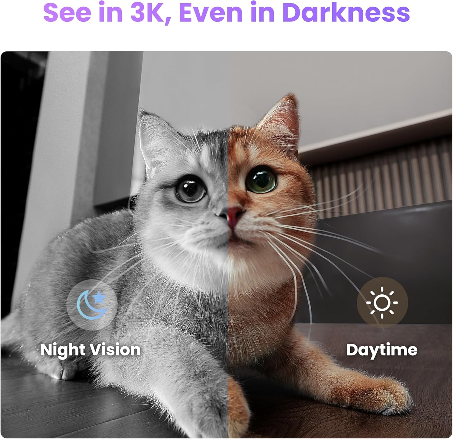 Enabot EBO 3K Home Camera Robot Air 2 Plus: Indoor Camera, Movable Robot Companion, 2-Way Video, AI Chat Mode, Auto-Recharge, Long Battery Life, Custom Facial Image, Night Vision, 32GB Memory Card