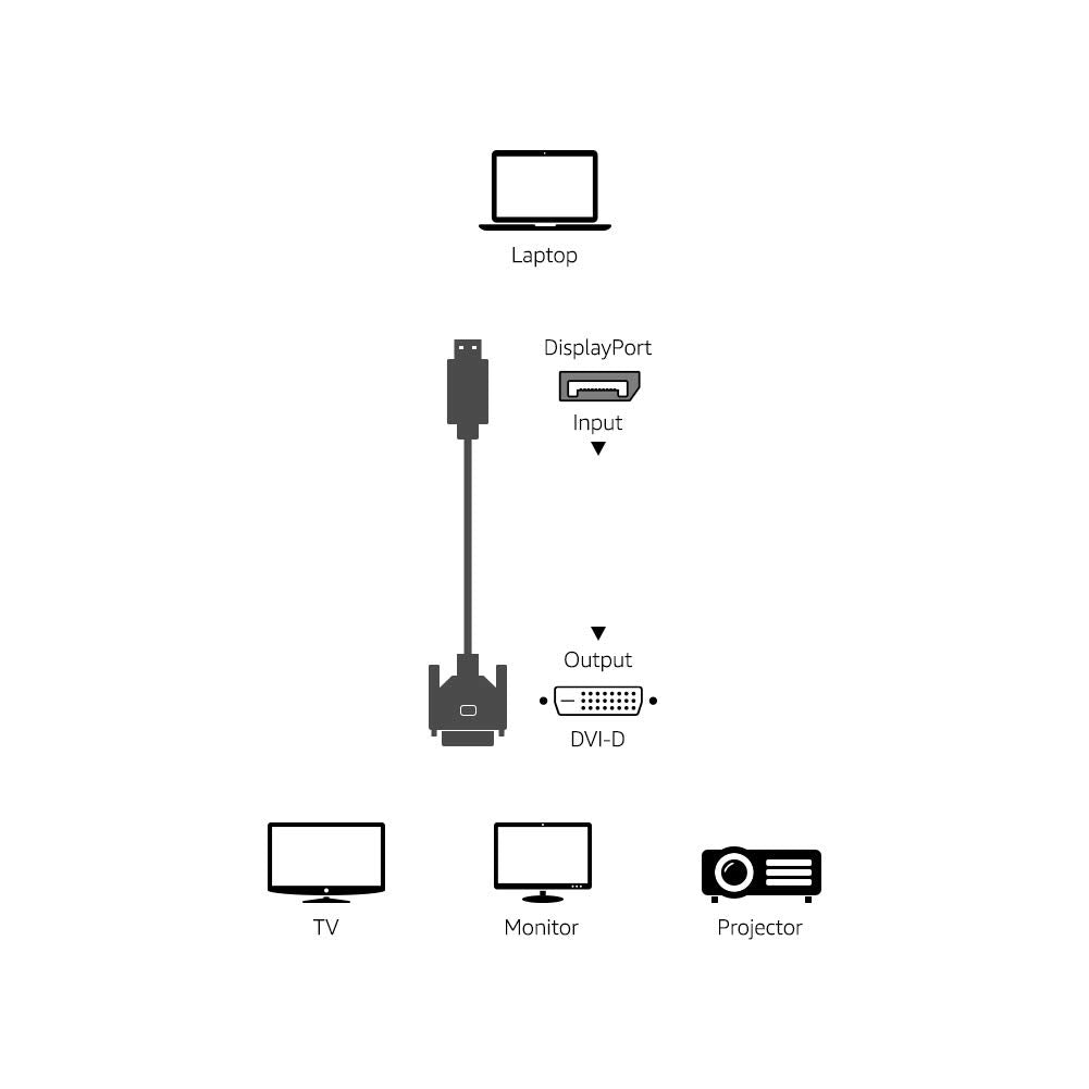 AmazonBasics DisplayPort to DVI Cable for Personal Computer - 6 Feet (Black)