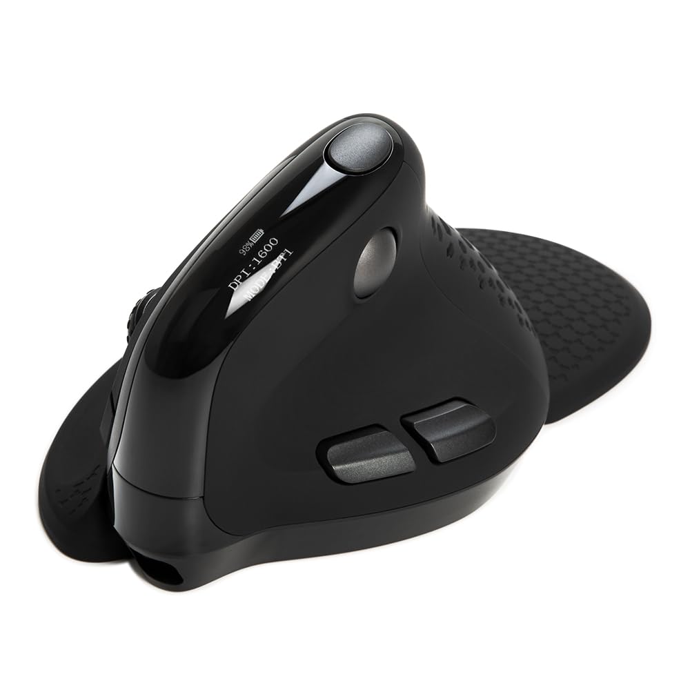 DeLUX Seeker Wireless Ergonomic Vertical Mouse with OLED Screen, BT and USB Receiver, Connect with Up to 4 Devices, Thumb Wheel, 4000DPI, Programmable Rechargeable Silent Mouse(M618XSD-Black)