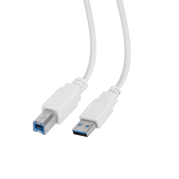BigPlayer USB 2.0 Highspeed A Male to B Male Printer Cable (White, 5 Meter)