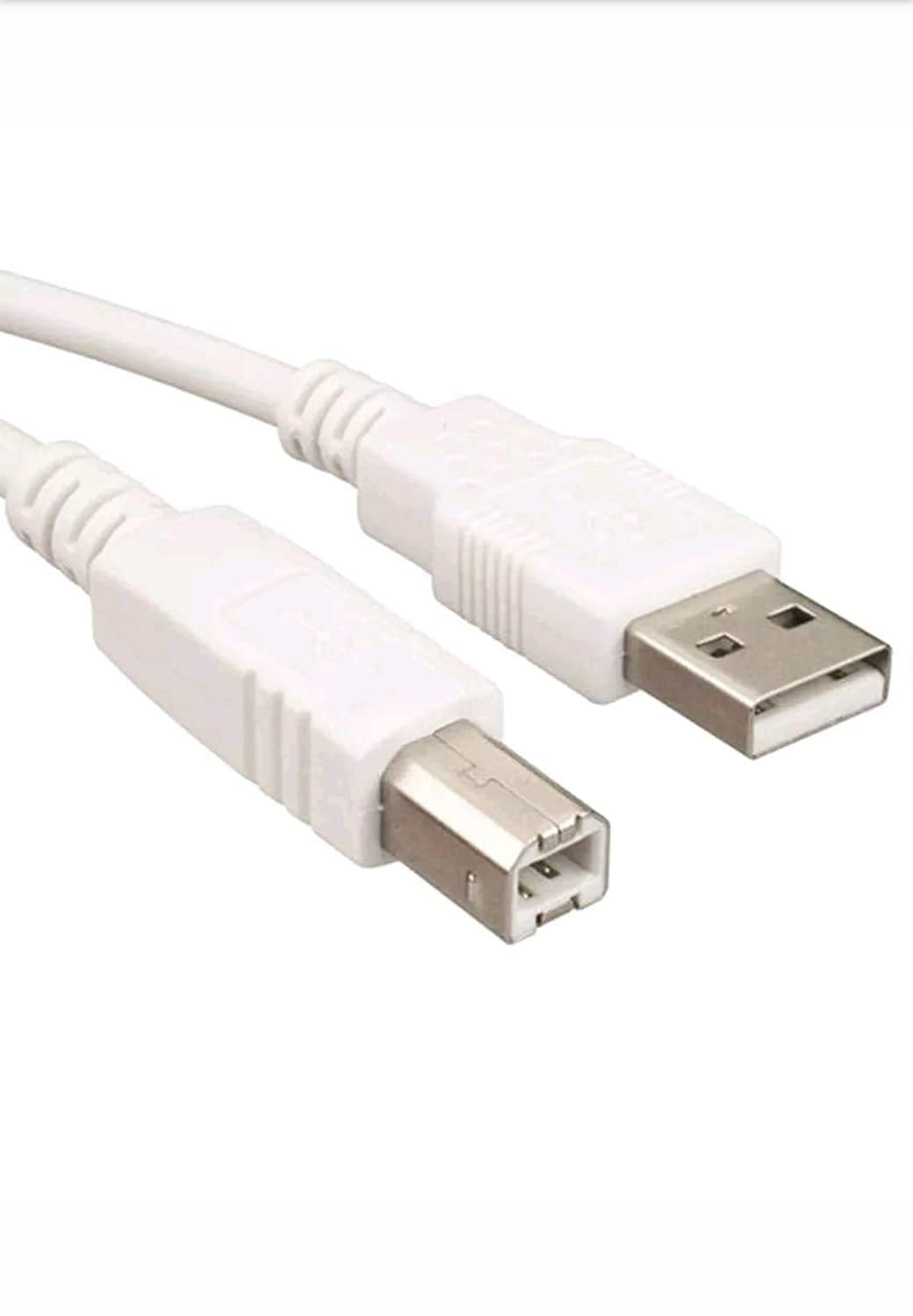 BigPlayer USB 2.0 Highspeed A Male to B Male Printer Cable (White, 5 Meter)