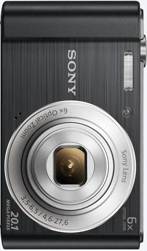 Sony Cybershot DSC-W810/B 20.1MP Digital Camera (Black) + Bag with Cha