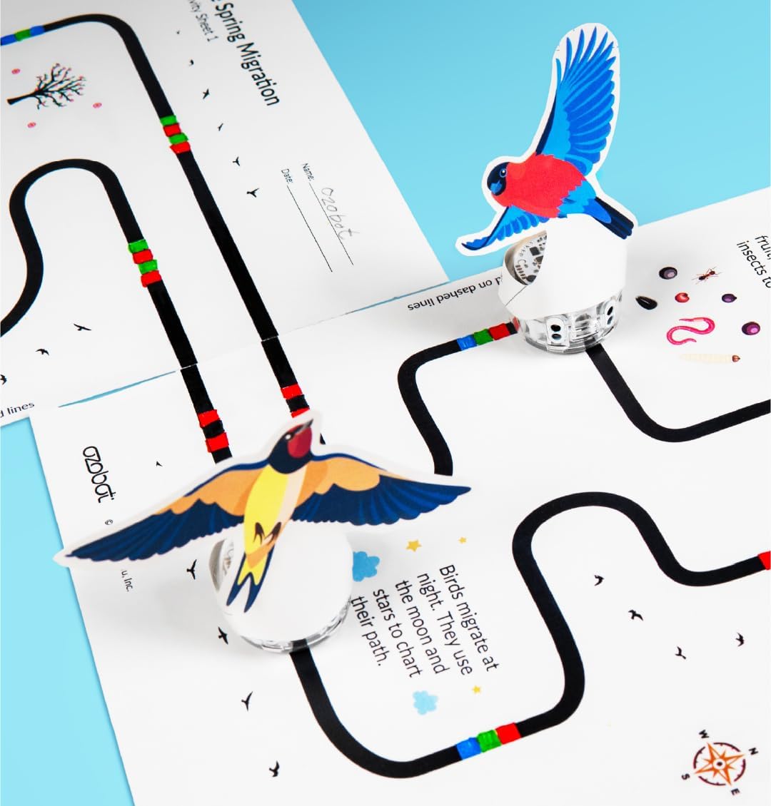 Ozobot Evo Entry Kit: Interactive STEM Coding Robot for Kids Ages 5+, Screen-Free Learning with Color Code Markers, Blockly Programming, Includes Charging Cable & Protective Case, Educator Approved