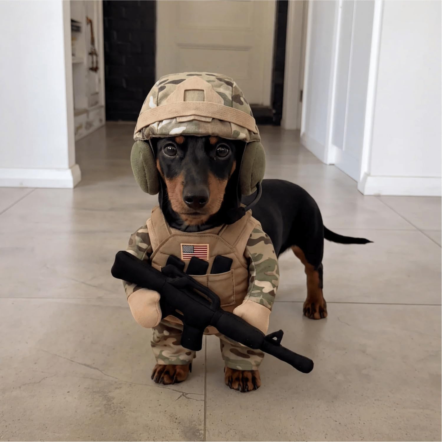 Pet Tactical Soldier Uniform, Halloween Pet Soldier Costume, Dog and Cat Funny Clothes Outfit Apparel for Small Medium, Tactical Dog Harness for Small Dogs with Hat, Perfect for Photos, Parties (M)