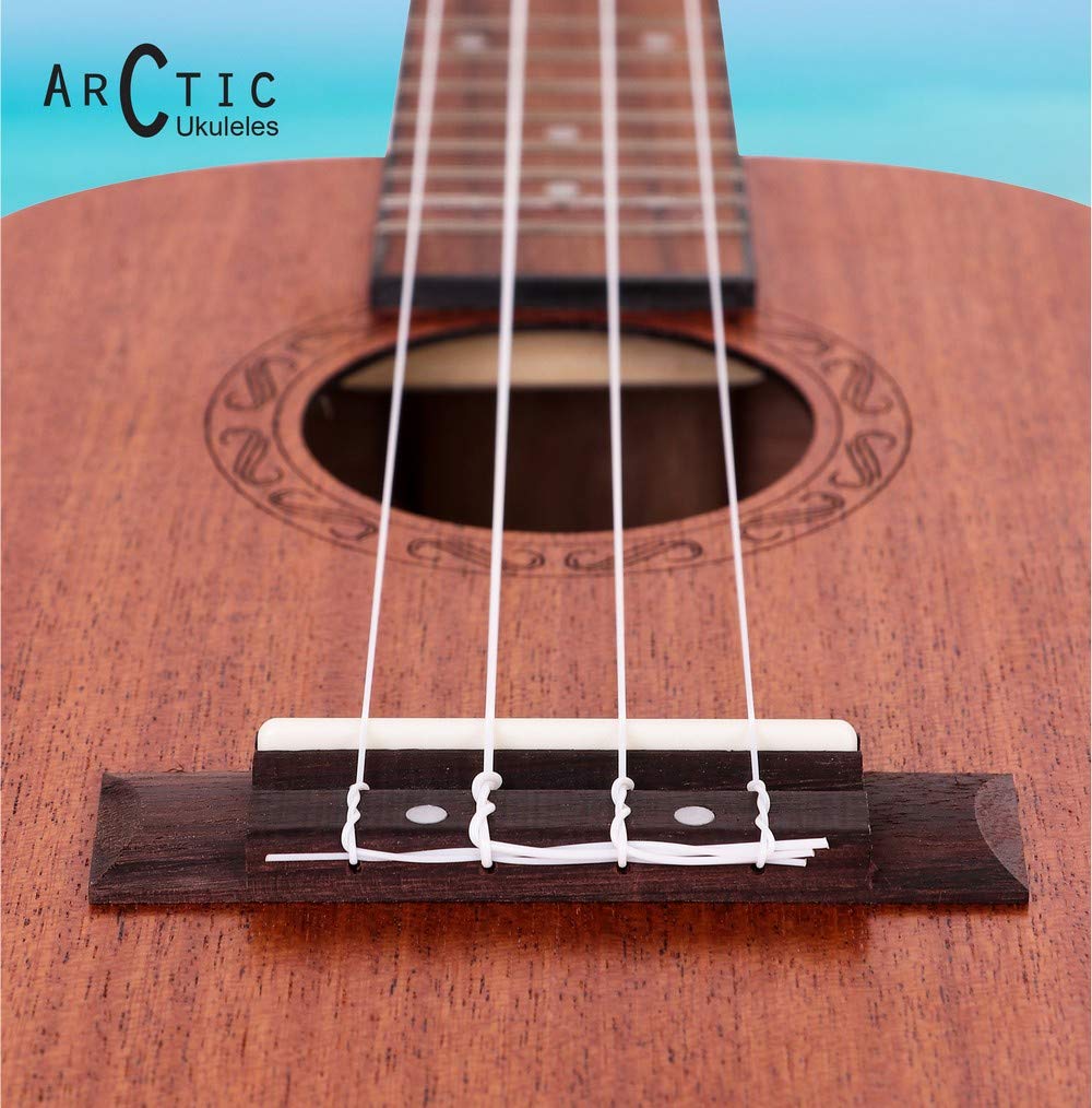 ARCTIC Soprano Ukulele 21 Inch for Beginners – Mahogany Wooden Ukulele with Nylon Strings, Tuning Pegs & Fingerboard (24 SPL)