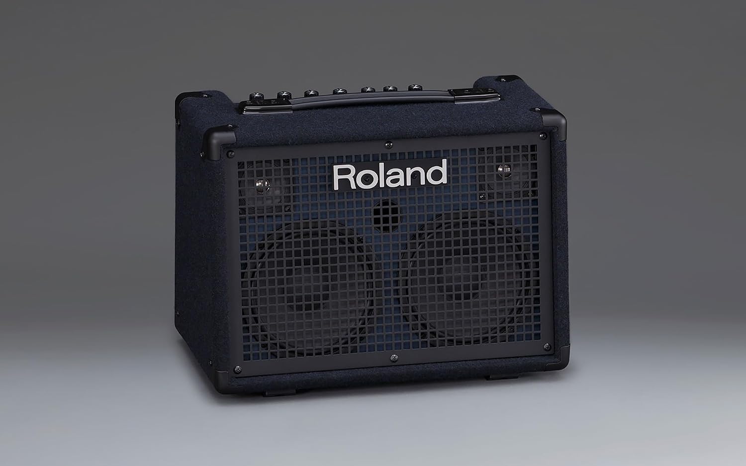 Roland KC-220 Battery-Powered Stereo Keyboard Amplifier Bundle with Instrument Cable and Austin Bazaar Polishing Cloth