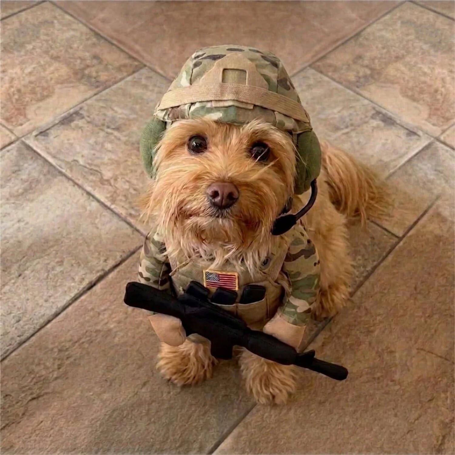 Pet Tactical Soldier Uniform, Halloween Pet Soldier Costume, Dog and Cat Funny Clothes Outfit Apparel for Small Medium, Tactical Dog Harness for Small Dogs with Hat, Perfect for Photos, Parties (M)
