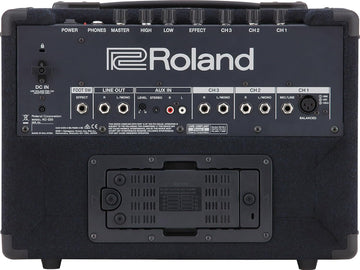 Roland KC-220 Battery-Powered Stereo Keyboard Amplifier Bundle with Instrument Cable and Austin Bazaar Polishing Cloth