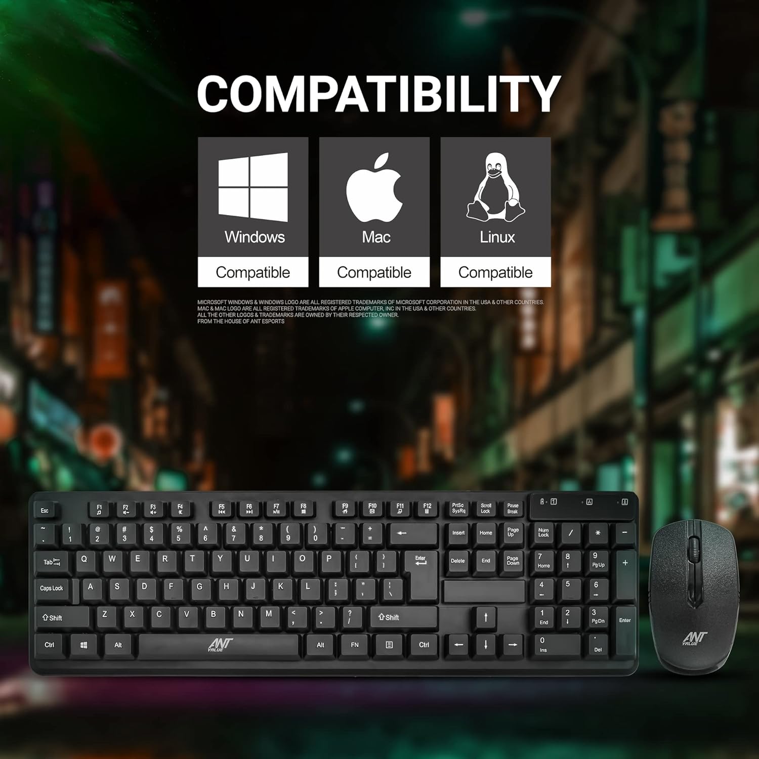 Ant Value FKBRI03 Wireless Keyboard Mouse Combo, Compact Full Size Wireless Computer Keyboard and Mouse Set 2.4G Ultra-Thin Sleek Design for Windows, Computer, Desktop, PC, Notebook, Laptop - Black