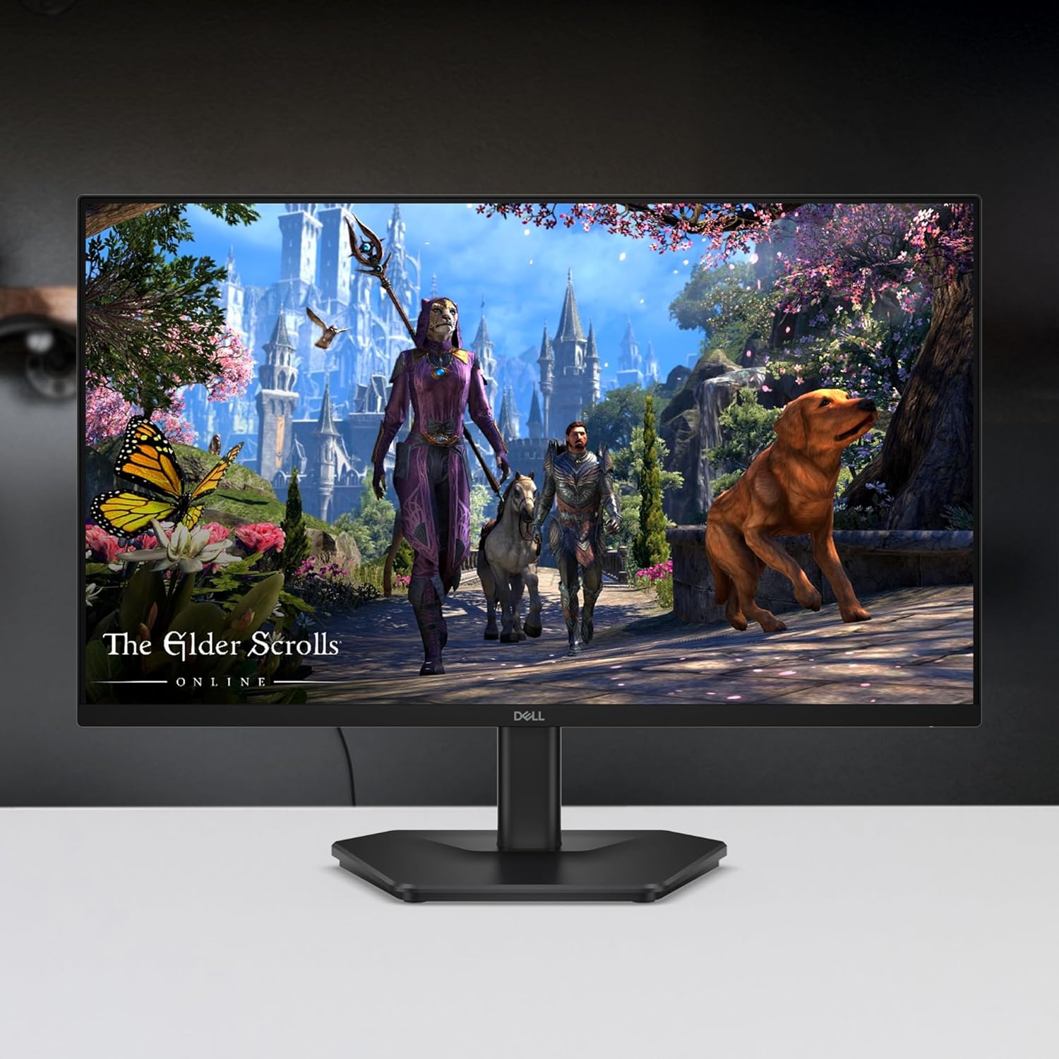 Dell SE2725HG 27" FHD IPS Gaming Monitor, 200Hz Refresh, 3side narrow bezels, 1ms GtG, AMD FreeSync Premium, HDR 10, 300nits, 1000:1 Contrast, 99% Srgb, Tilt, 2*HDMI 2.1 TDMS(supports HDMI VRR),DP 1.4