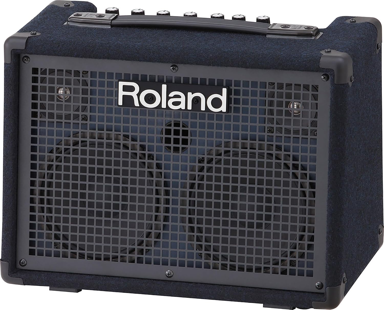Roland KC-220 Battery-Powered Stereo Keyboard Amplifier Bundle with Instrument Cable and Austin Bazaar Polishing Cloth