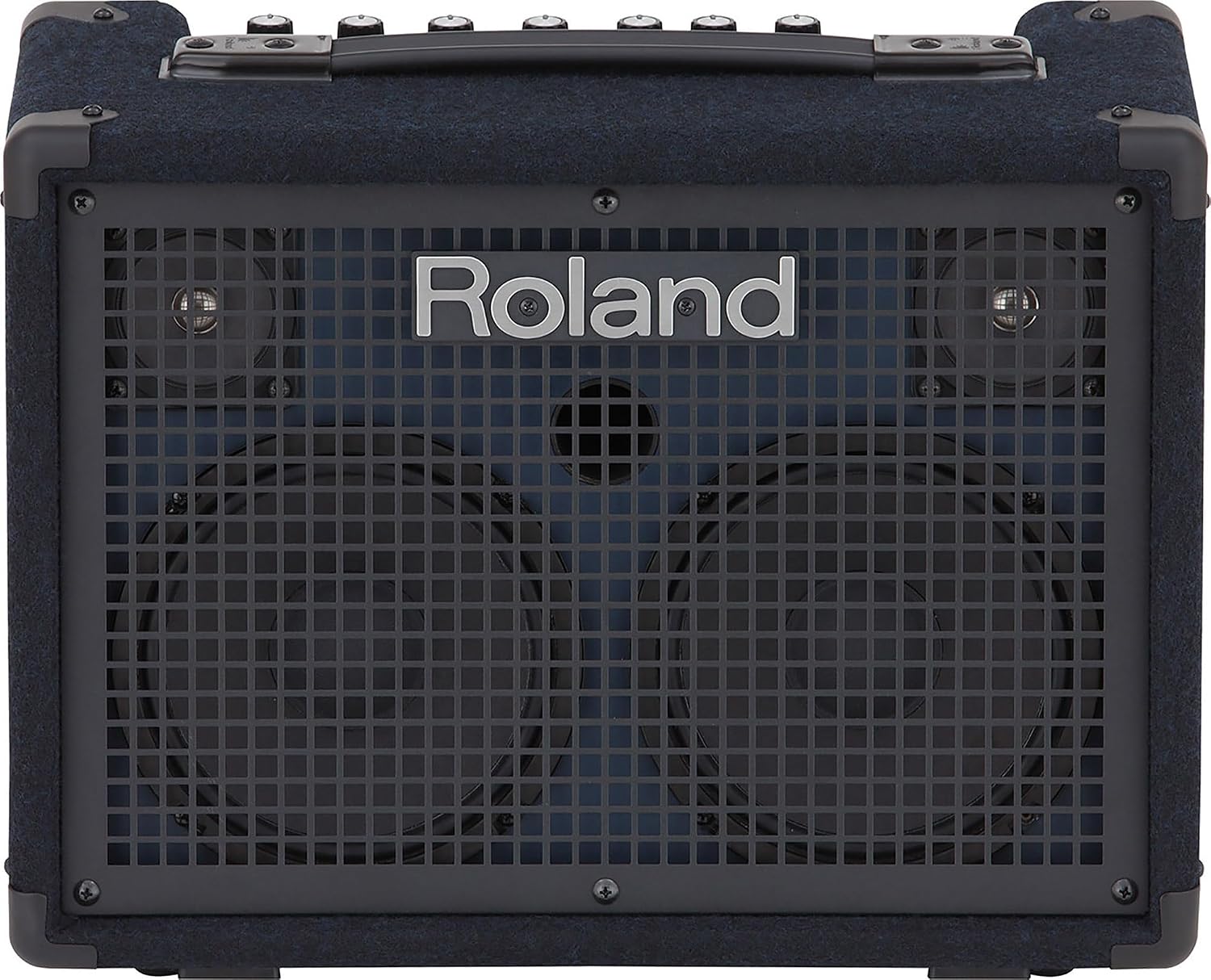 Roland KC-220 Battery-Powered Stereo Keyboard Amplifier Bundle with Instrument Cable and Austin Bazaar Polishing Cloth