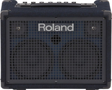 Roland KC-220 Battery-Powered Stereo Keyboard Amplifier Bundle with Instrument Cable and Austin Bazaar Polishing Cloth