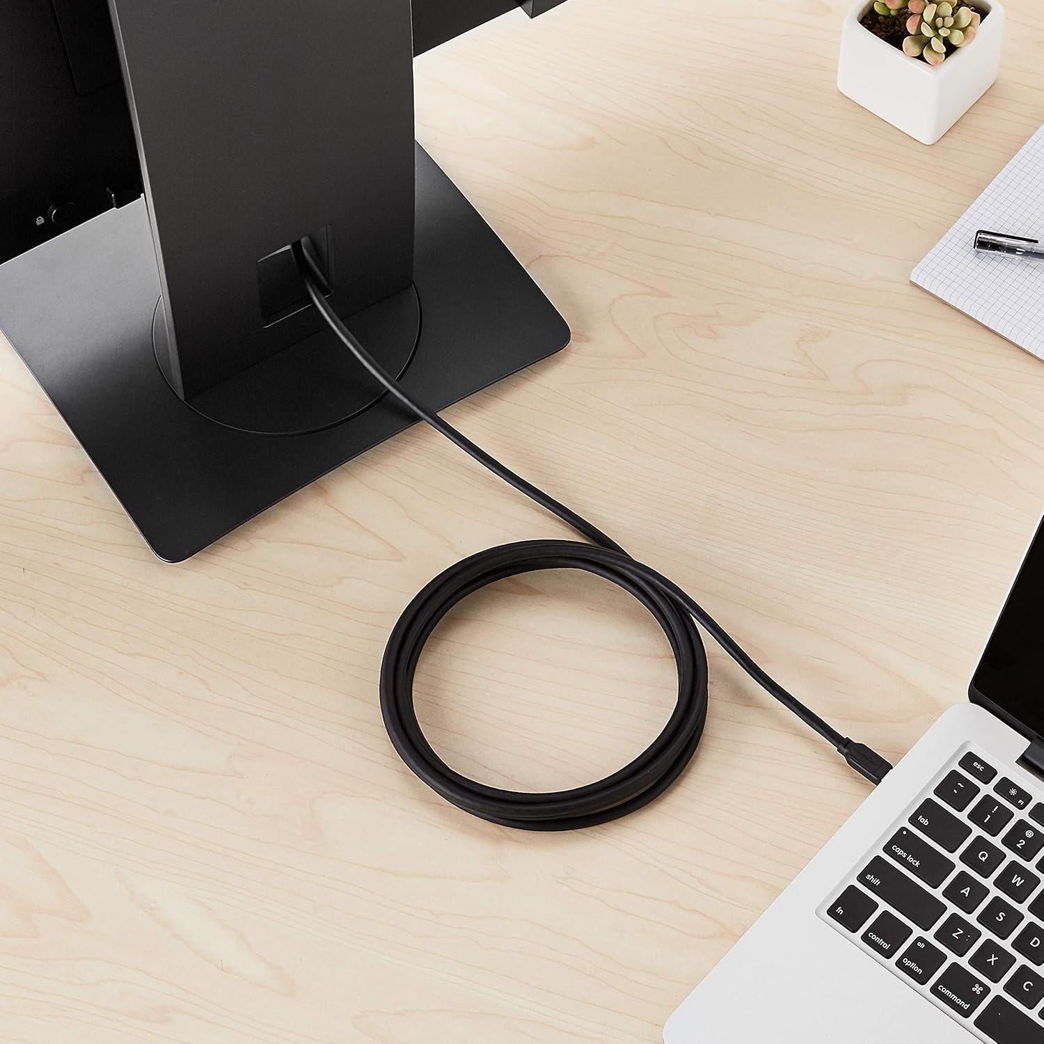 AmazonBasics Mini DisplayPort to DisplayPort Cable - 10 Feet
