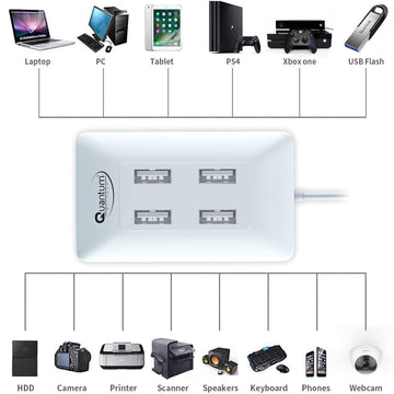Quantum QHM6633 4-Port Hi-Speed USB Hub (Multicolor)
