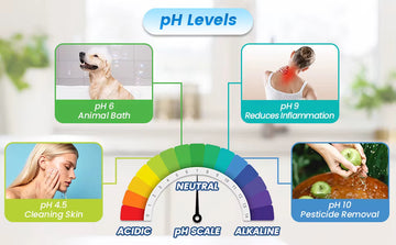 Debonair 11 Titanium Plate Alkaline Kangen Water Ionizer | Advanced pH Balanced Drinking Water