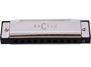 ARCTIC AR-HA10 Key C 10 Hole Diatonic Blues Mouth Organ Harmonica for Professional Player, Silver